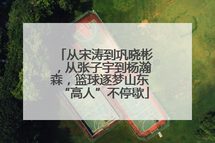 从宋涛到巩晓彬，从张子宇到杨瀚森，篮球逐梦山东“高人”不停歇