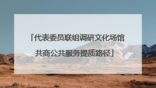 代表委员联组调研文化场馆 共商公共服务提质路径