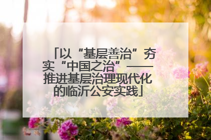 以“基层善治”夯实“中国之治”——推进基层治理现代化的临沂公安实践