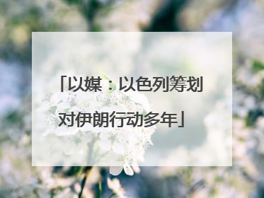 以媒：以色列筹划对伊朗行动多年