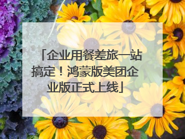 企业用餐差旅一站搞定！鸿蒙版美团企业版正式上线