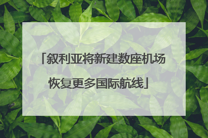 叙利亚将新建数座机场 恢复更多国际航线