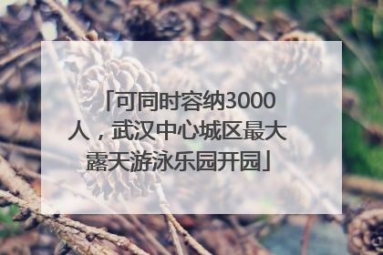 可同时容纳3000人，武汉中心城区最大露天游泳乐园开园