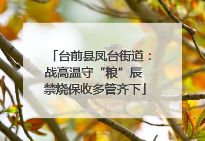 台前县凤台街道：战高温守“粮”辰 禁烧保收多管齐下