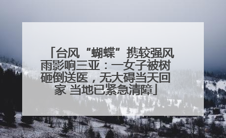 台风“蝴蝶”携较强风雨影响三亚：一女子被树砸倒送医，无大碍当天回家 当地已紧急清障