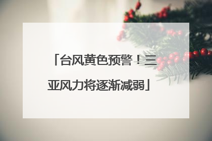 台风黄色预警！三亚风力将逐渐减弱