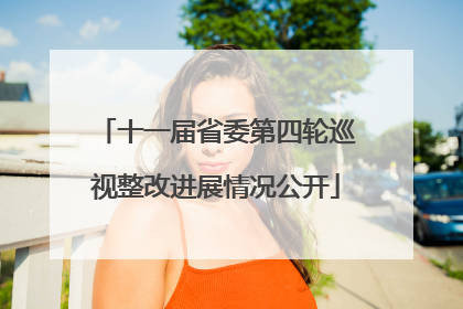 十一届省委第四轮巡视整改进展情况公开