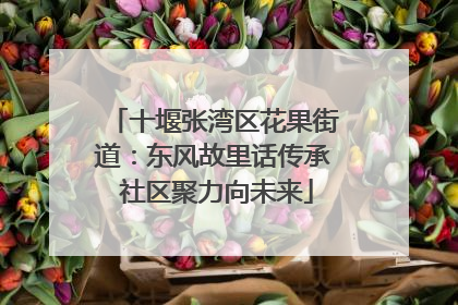 十堰张湾区花果街道：东风故里话传承 社区聚力向未来