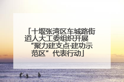 十堰张湾区车城路街道人大工委组织开展 “聚力建支点·建功示范区”代表行动