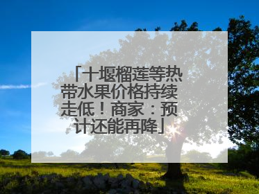 十堰榴莲等热带水果价格持续走低！商家：预计还能再降
