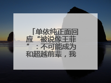 单依纯正面回应“被说像王菲”：不可能成为和超越前辈，我想致敬他们