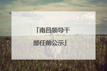 南昌领导干部任前公示