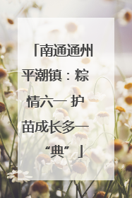 南通通州平潮镇：粽情六一 护苗成长多一“典”