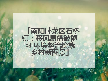 南阳卧龙区石桥镇：移风易俗破陋习 环境整治绘就乡村新图景