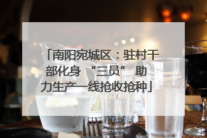 南阳宛城区：驻村干部化身 “三员” 助力生产一线抢收抢种