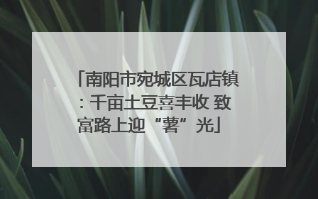 南阳市宛城区瓦店镇：千亩土豆喜丰收 致富路上迎“薯”光
