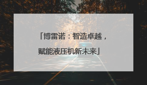 博雷诺：智造卓越，赋能液压机新未来