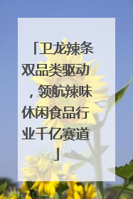 卫龙辣条双品类驱动，领航辣味休闲食品行业千亿赛道