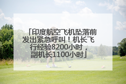 印度航空飞机坠落前发出紧急呼叫！机长飞行经验8200小时，副机长1100小时