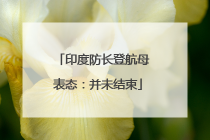 印度防长登航母表态：并未结束