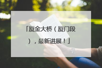 厦金大桥（厦门段），最新进展！