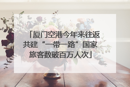 厦门空港今年来往返共建“一带一路”国家旅客数破百万人次