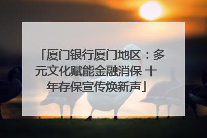 厦门银行厦门地区：多元文化赋能金融消保 十年存保宣传焕新声