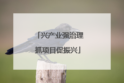 兴产业强治理 抓项目促振兴