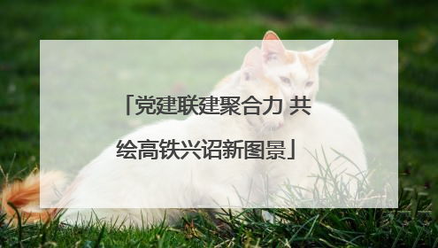 党建联建聚合力 共绘高铁兴诏新图景