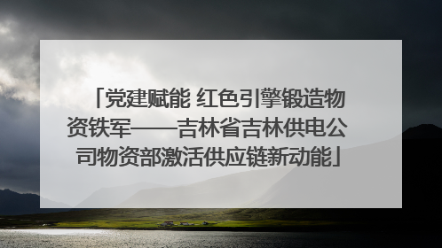 党建赋能 红色引擎锻造物资铁军——吉林省吉林供电公司物资部激活供应链新动能