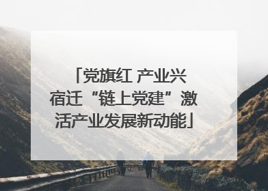 党旗红 产业兴 宿迁“链上党建”激活产业发展新动能