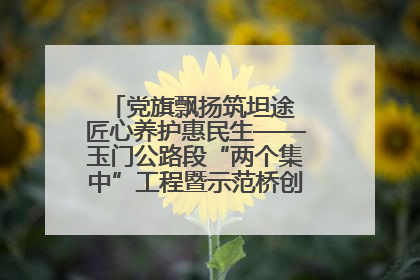 党旗飘扬筑坦途 匠心养护惠民生——玉门公路段“两个集中”工程暨示范桥创建项目圆满收官