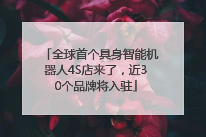 全球首个具身智能机器人4S店来了，近30个品牌将入驻