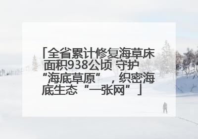 全省累计修复海草床面积938公顷 守护“海底草原”，织密海底生态“一张网”