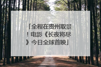 全程在贵州取景！电影《长夜将尽》今日全球首映