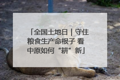 全国土地日｜守住粮食生产命根子 看中原如何“耕”新
