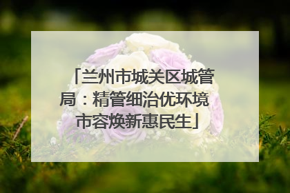 兰州市城关区城管局：精管细治优环境 市容焕新惠民生