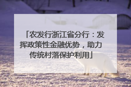 农发行浙江省分行：发挥政策性金融优势，助力传统村落保护利用