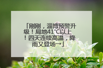 刚刚，淄博预警升级！局地41℃以上！四天连续高温，降雨又登场→