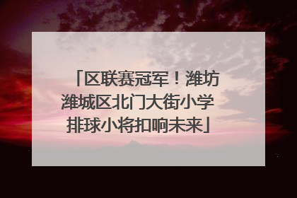 区联赛冠军！潍坊潍城区北门大街小学排球小将扣响未来