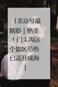 北京号最精彩｜绝美！门头沟这个景区芍药已花开成海