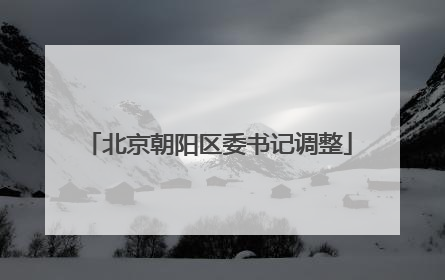 北京朝阳区委书记调整