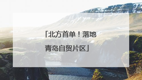 北方首单！落地青岛自贸片区