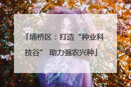 埇桥区：打造“种业科技谷” 助力强农兴种