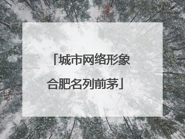 城市网络形象合肥名列前茅