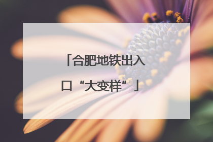 合肥地铁出入口“大变样”
