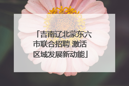 吉南辽北蒙东六市联合招聘 激活区域发展新动能