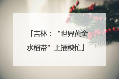 吉林：“世界黄金水稻带”上插秧忙