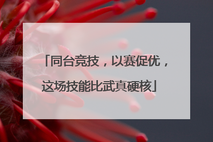 同台竞技，以赛促优，这场技能比武真硬核