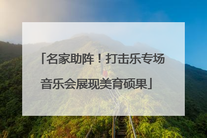 名家助阵！打击乐专场音乐会展现美育硕果
